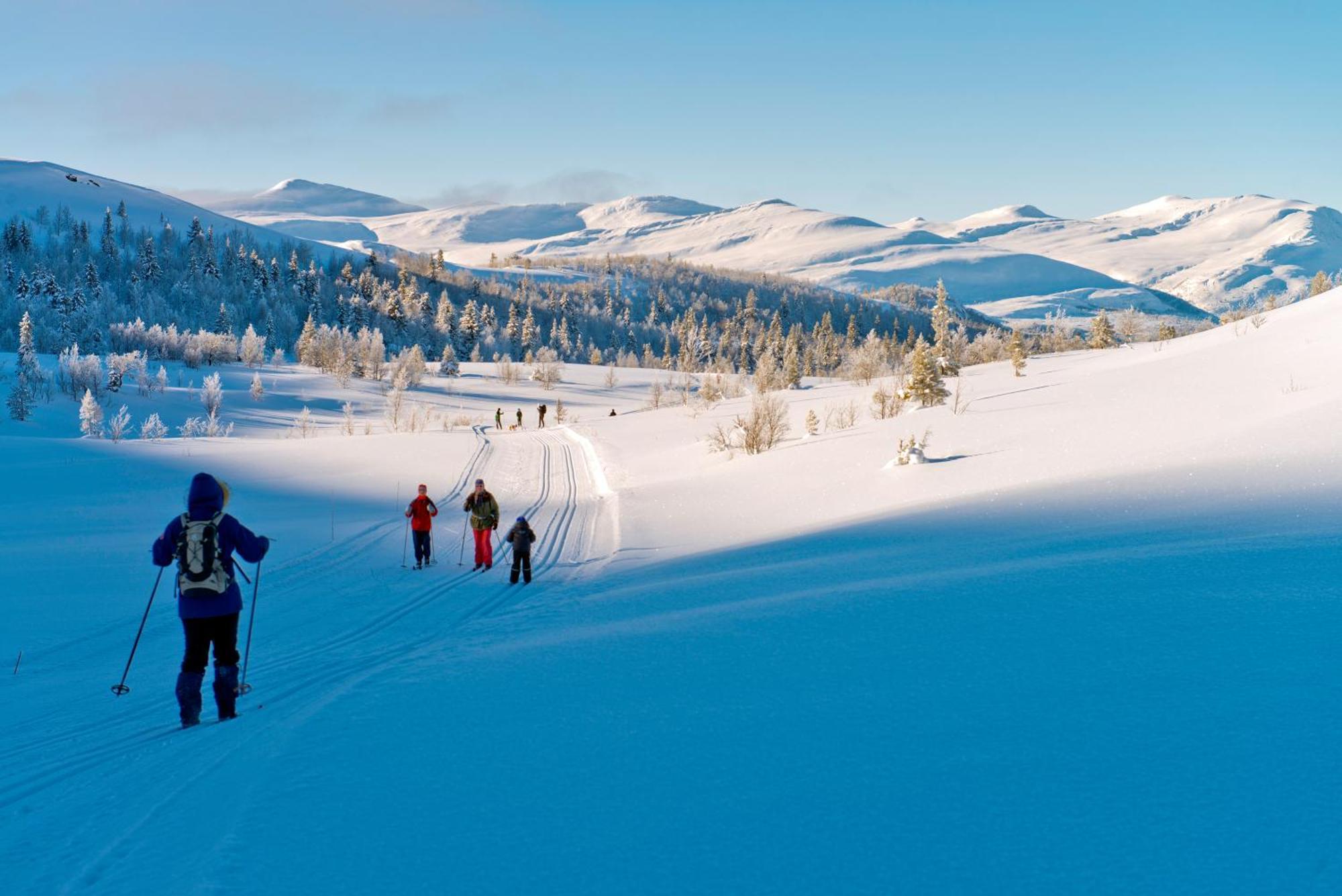 Spidsbergseter Resort Rondane Venabygd Zewnętrze zdjęcie