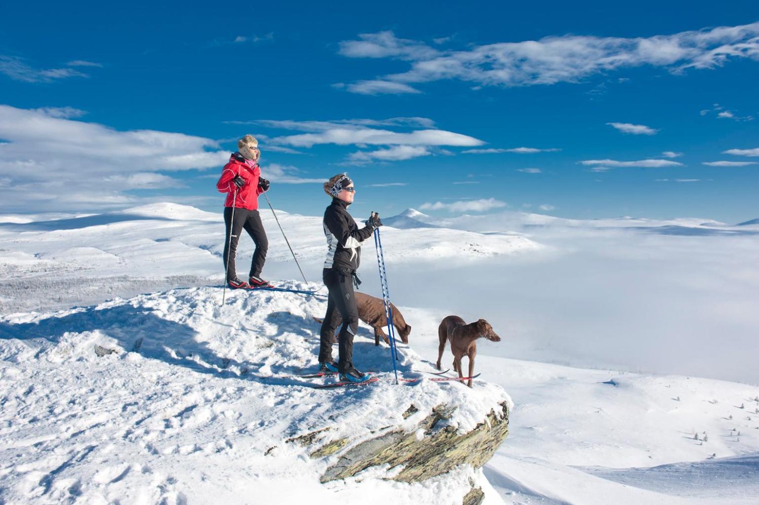 Spidsbergseter Resort Rondane Venabygd Zewnętrze zdjęcie