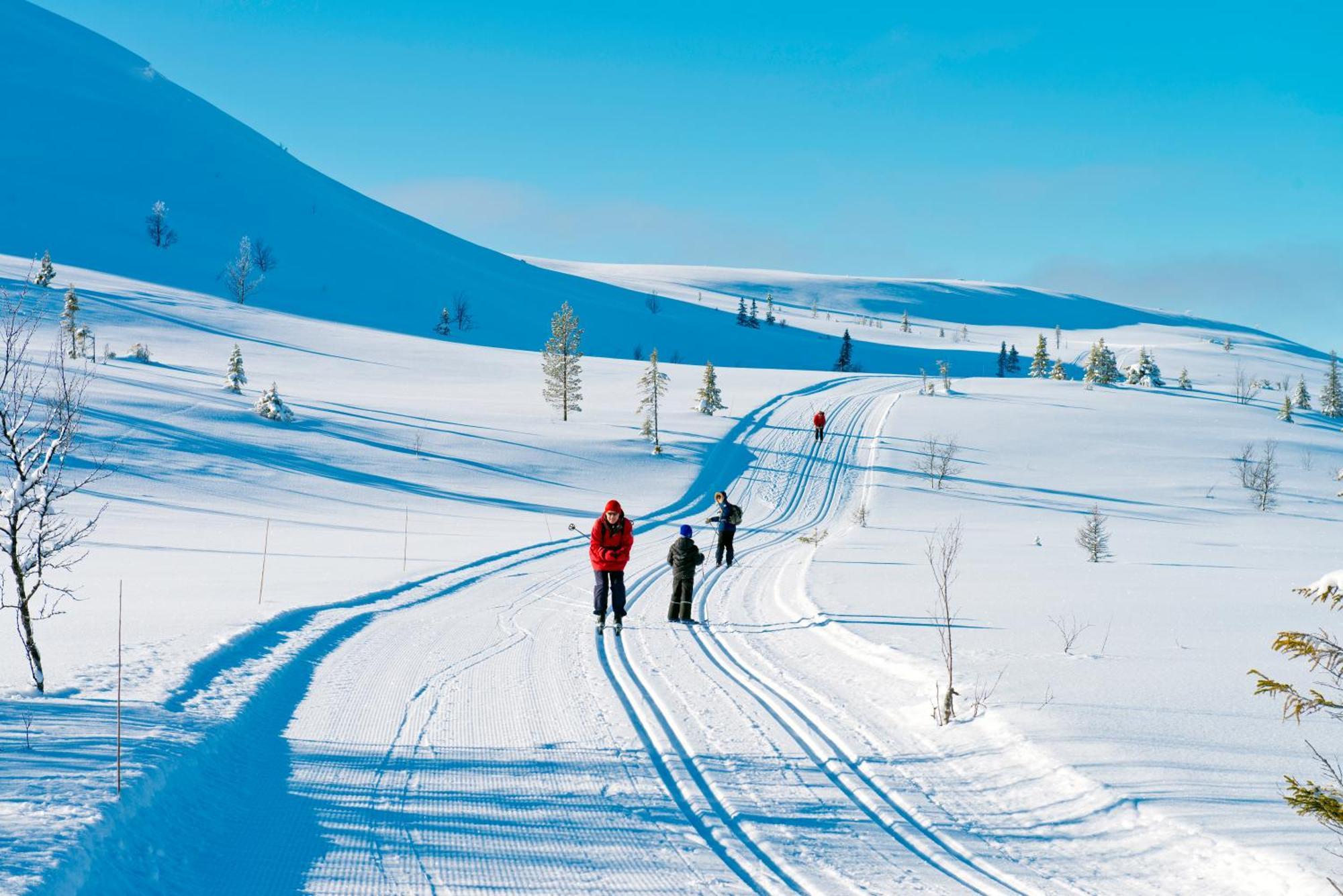 Spidsbergseter Resort Rondane Venabygd Zewnętrze zdjęcie