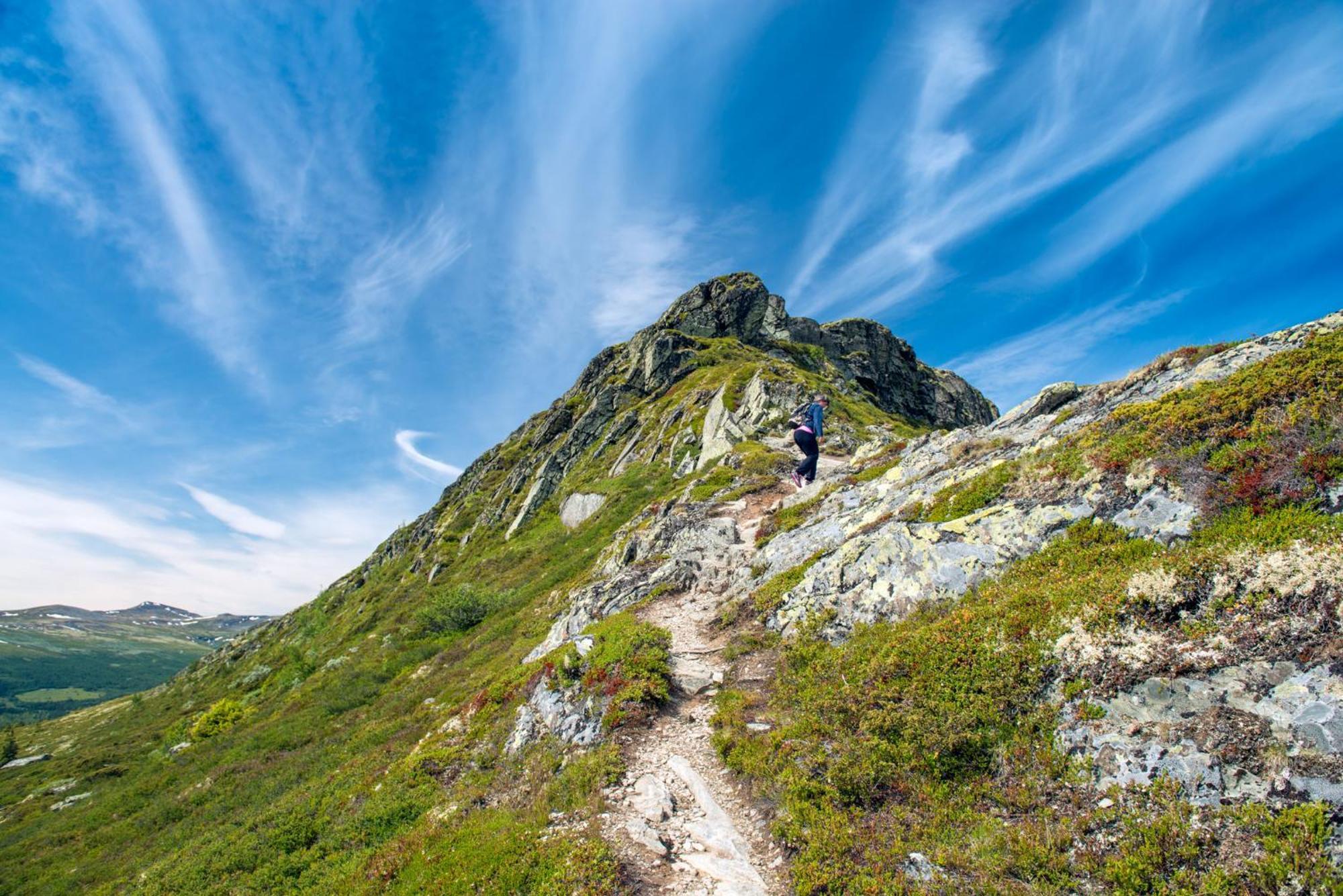 Spidsbergseter Resort Rondane Venabygd Zewnętrze zdjęcie