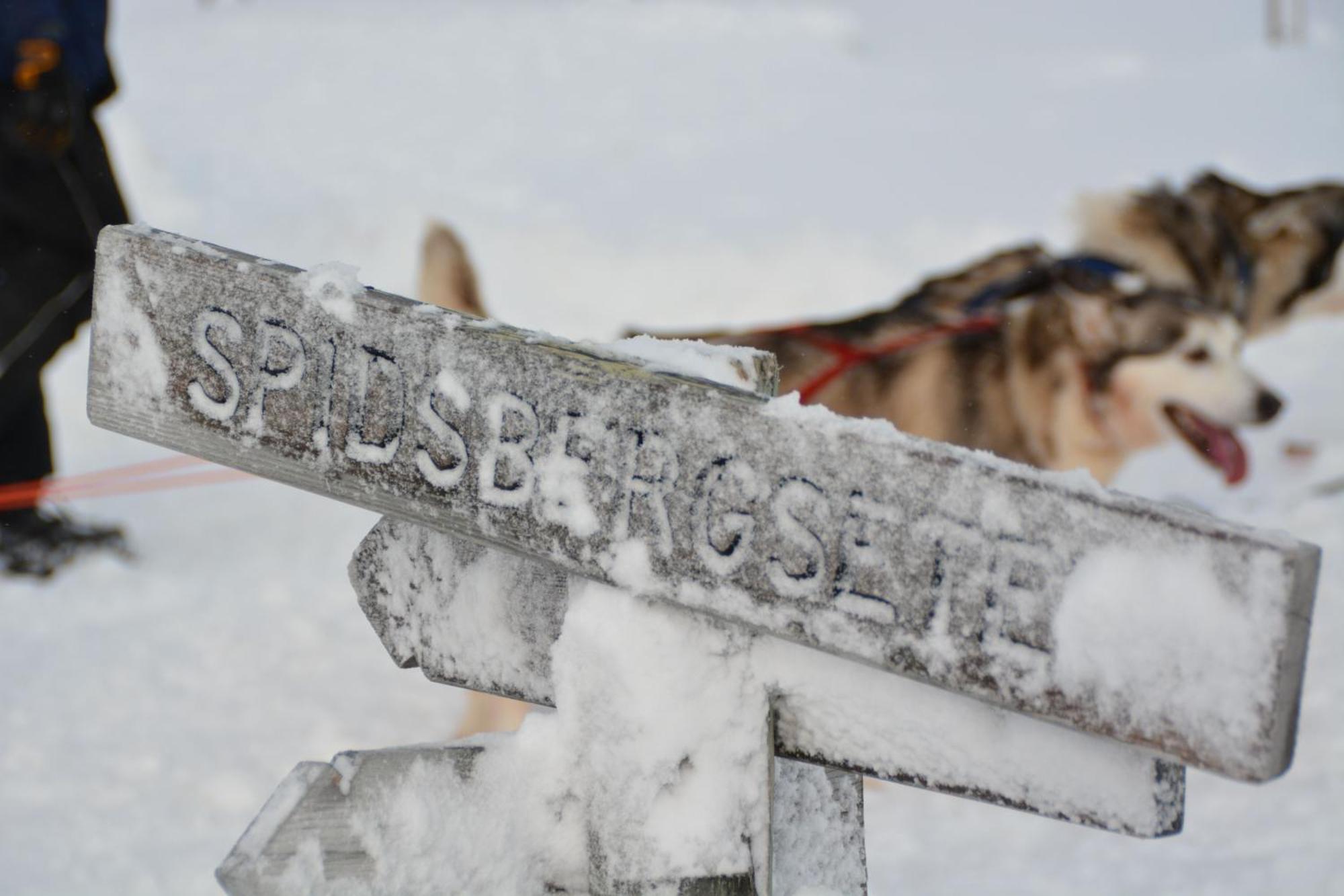 Spidsbergseter Resort Rondane Venabygd Zewnętrze zdjęcie