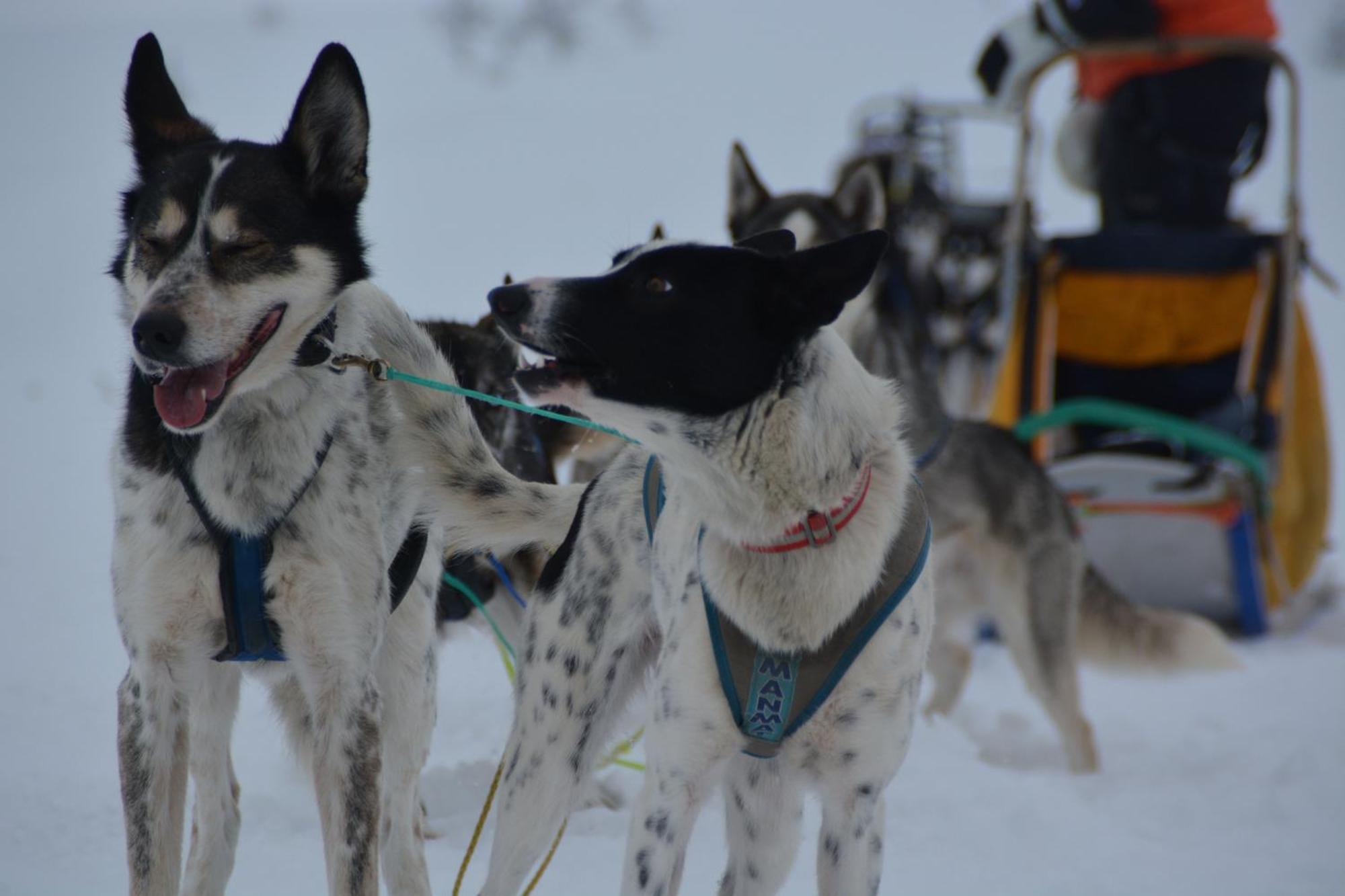 Spidsbergseter Resort Rondane Venabygd Zewnętrze zdjęcie